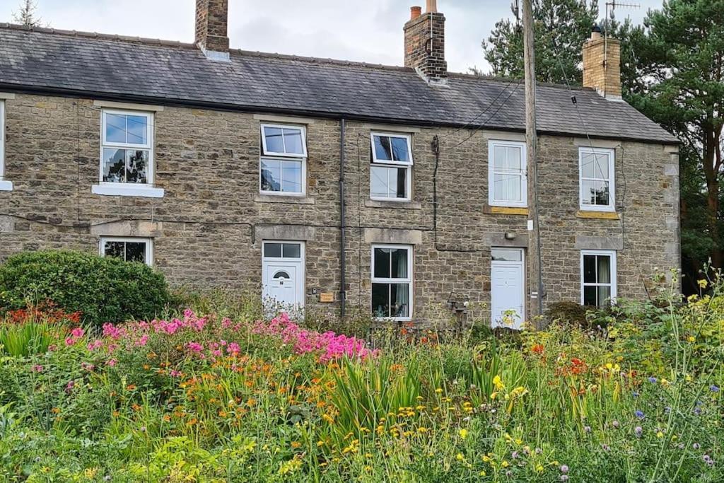 Woodcutters Cottage, Northumberland Haltwhistle Dış mekan fotoğraf